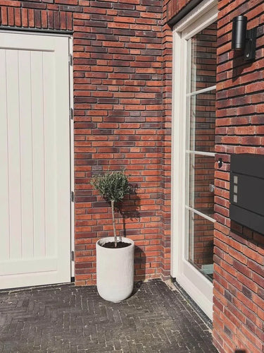 Une maison moderne en brique avec une porte blanche, une grande fenêtre, une boîte aux lettres Nevio Anthracite de yessential.fr, un petit arbre en pot dans une jardinière blanche et une lampe d'extérieur noire.