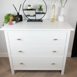 Une commode blanche moderne avec trois tiroirs et les boutons Arturo Gold de yessential.fr est décorée de plantes, d'accents décoratifs, d'une étagère noire et d'un vase blanc, qui apportent un charme intérieur champêtre au mur et au sol clairs.